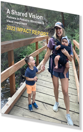 Picture of Impact Report cover