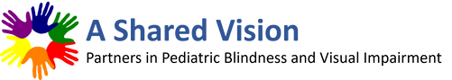 A Shared Vision: Partners in Pediatric Blindness and Visual Impairment