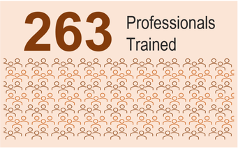 Box highlight - 263 professionals trained